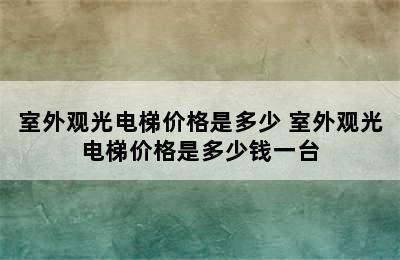 室外观光电梯价格是多少 室外观光电梯价格是多少钱一台